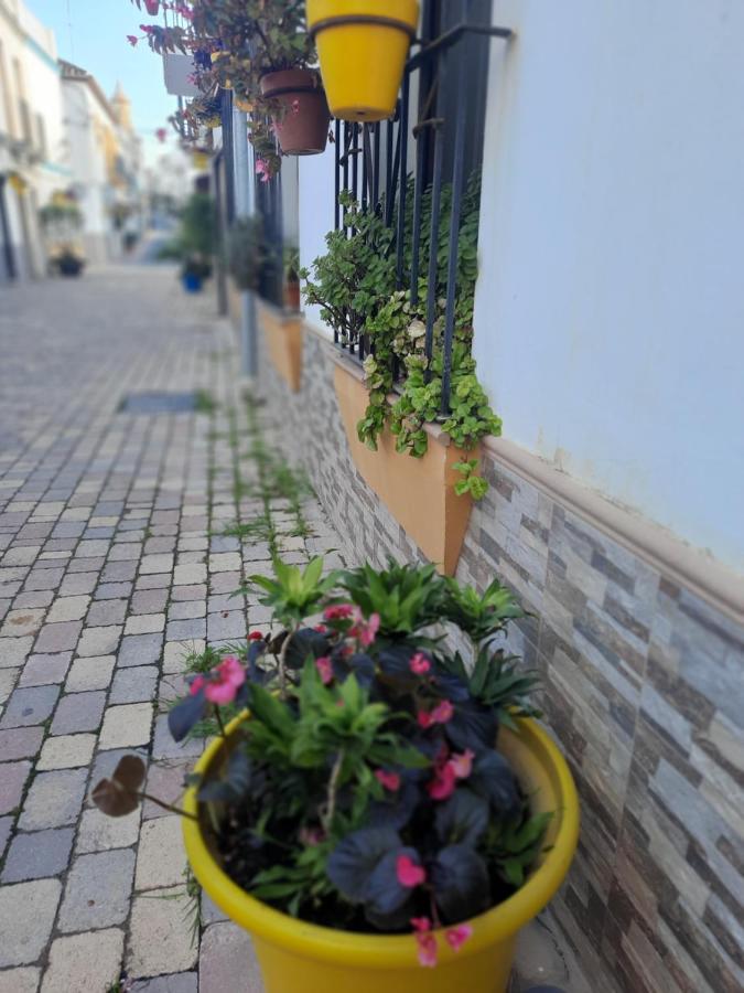 Apartamento En Casco Historico إِستيبونا المظهر الخارجي الصورة