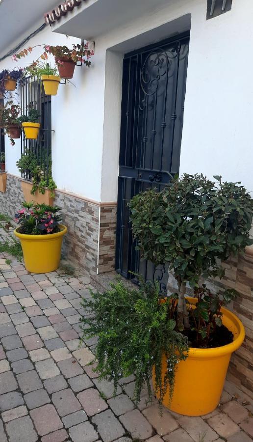 Apartamento En Casco Historico إِستيبونا المظهر الخارجي الصورة
